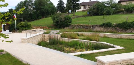 20200622_104651.jpg